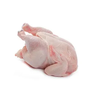 Ali di pollo rozen 3 articolazioni ali di pollo Halal 3 articolazioni