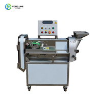 Hoge capaciteit transportband type fruit- en groentesnijmachine