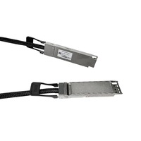 Kabel Interkoneksi Tembaga Twinax Standar OSFP MSA untuk Pusat Data Densitas Tinggi 0.5m 1m 1.5m 2m 800G OSFP112 Kabel DAC Pasif 100