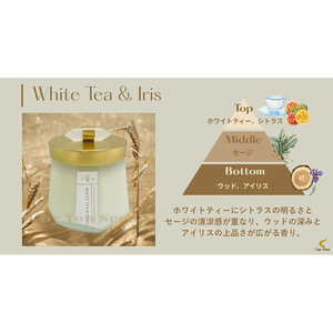เทียนหอมกลิ่นชาขาวและไอริส คอลเลคชั่นตกแต่งบ้าน กลิ่นหอมหรูหรา - Product Image 3