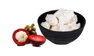 Lotion au beurre de Kokum de haute qualité au meilleur prix de l'Inde du Sud utilisé pour les exportateurs et les fabricants de gros brillants pour le corps - Product Image 3