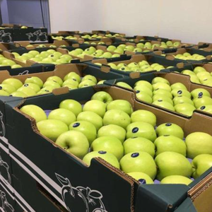 Suministro de Manzanas Frescas de Nueva Cosecha para Exportación a Buen Precio - Product Image 2