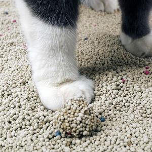Arena para gatos de proveedor OEM, fuerte aglomeración, antibacteriana, fácil de limpiar, rápida absorción, buen <span class=keywords><strong>control</strong></span> de olores, arena para gatos de bentonita - Product Image 3