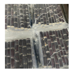 Trozos de caña de azúcar congelados IQF, caña de azúcar congelada a granel, perfecta para la producción de jugo y el uso de confitería - Product Image 2