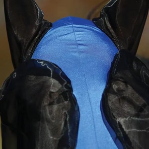 Masque de protection contre les mouches de cheval respirant pour l'extérieur, en maille douce et légère, pour le nez et les oreilles, accessoire d'équitation, protection solaire UV - Product Image 2