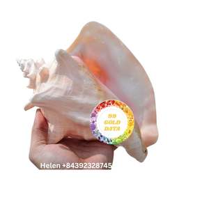 COQUILLE DE CONQUE ROSE DE TAILLE ÉNORME COQUILLE DE MER RARE NATURELLE TROUVÉE AU VIETNAM COQUILLE DE MER DE CHARME POUR LA DÉCORATION DE LA MAISON ET DE LA FÊTE - Product Image 4