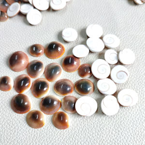 เปลือกหอยตาแมวแห้ง ขายส่ง เปลือกหอยโอเกนต์ ชakra ชีวะ  เปลือกหอยแห้งจากเวียดนาม - Product Image 1