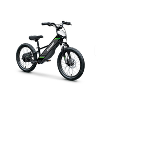 ใหม่ KAWASAKI I S elektrodes 20 Ride รถจักรยานยนต์ไฟฟ้าฮับด้านหลังแบตเตอรี่ลิเธียมเฟรมอลูมิเนียม21สปีด> 60กม. - Product Image 4