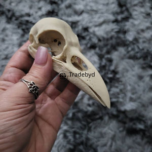 Statue d'animal sculptée en résine de designer Tradebyd, qualité supérieure, objet décoratif artistique de collection pour l'intérieur de la maison, cadeau - Product Image 5