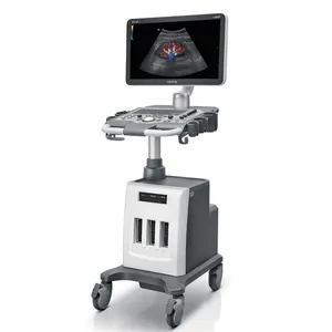 2023 Mindray DC-30 Ultrasound System 3D 4D Trolley Color Doppler Machine with 21.5 Inches Full HD LED Monitor