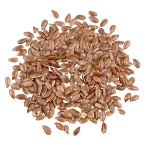 Hot sale organic flax seeds Wholesale natural high quality product factory best selling price