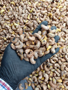 Vietnamese W180 Cashews Ready for Export Roasted Cashew Nuts Grade a <b>Instant</b> <b>Food</b> Best Quality Angle - Product Image 6
