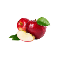 Groothandel verse rode appels bulk levering goedkope prijs exporteur met snelle bezorging