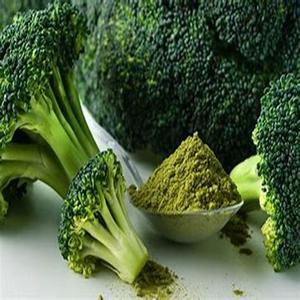 Brócoli fresco orgánico de tamaño familiar disponible a precio mayorista para exportación - Product Image 2