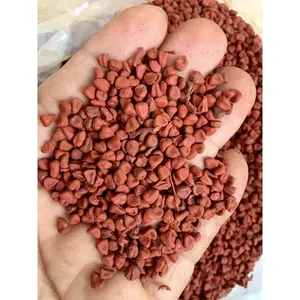 天然红木种子食品级调味价格从越南Safimex工厂最便宜