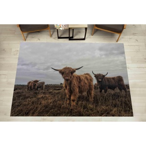 Alfombra con Diseño de Vaca Highland: Estampado de Animales Salvajes, Decoración de Oficina, Alfombra Delgada No Tejida - Product Image 1