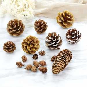 NATURAL SHELLED CHRISTMAS PINE NUTS / PREMIUM SNACK / PERFECT FOR HOLIDAY COOKING AND GIFTS - Product Image 1