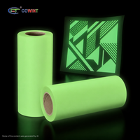 Film DTF Luminescent dans le Noir, Film de Transfert PET Lumineux avec Revêtement Antistatique pour Impression Personnalisée sur Vêtements