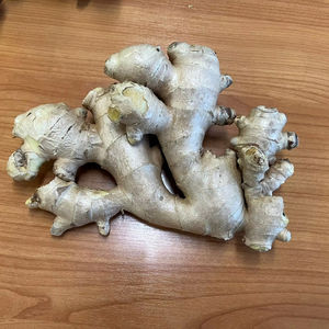 Jengibre Fresco de Vietnam, Exportador Agrícola de Confianza TECHMIFOOD, Ofrece Entrega de Contenedores a Granel para Compradores Extranjeros - Product Image 1