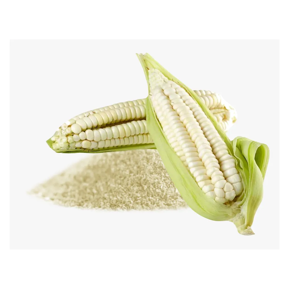 Pure natural Bags Organic Sweet Dry Baby Corn White Maize Corn / Best Quality GRADE 1 Non GMO White and White Corn
