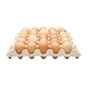 Mayoristas de huevos de gallina frescos-Huevos de mesa frescos a la venta con precios bajos disponibles