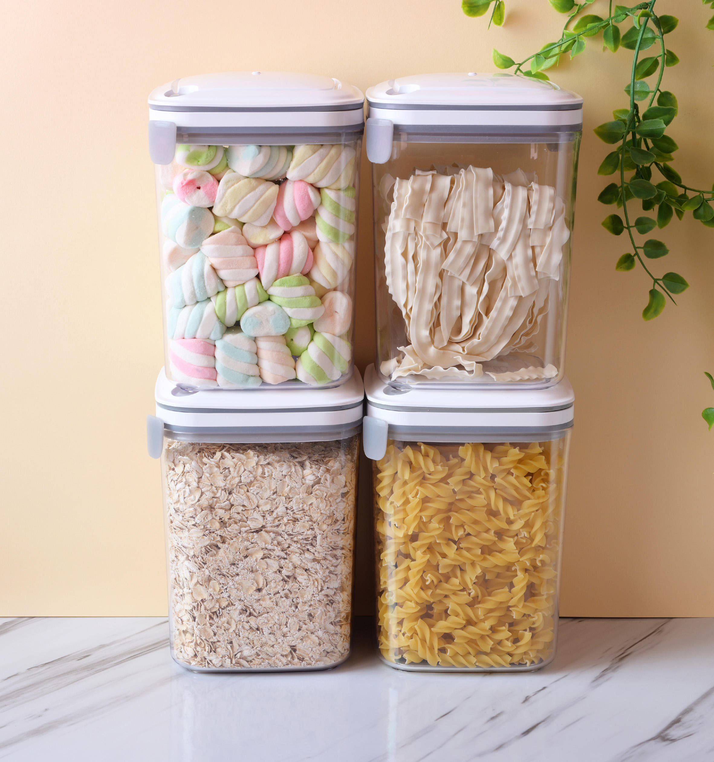 โปร่งใส