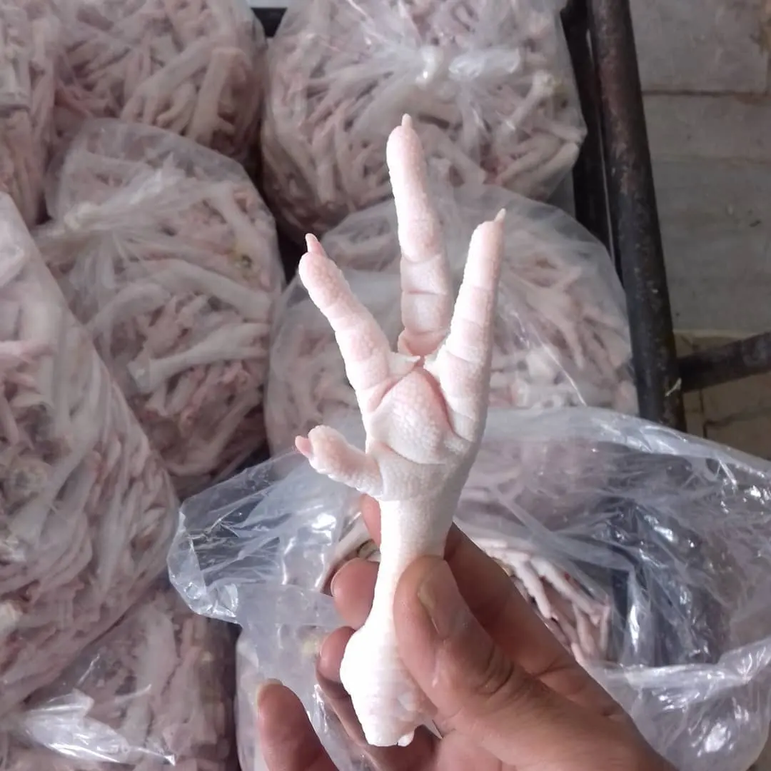 Wholesale Halal Chicken Feet / Frozen Chicken Paws Brazil / Fresh chicken Wings and feet and Paws