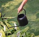 Vente chaude Métal Canne À Eau Maison Et Jardin Décoratif Prix Abordable Canne À Eau Designer La Plus Populaire - Product Image 4