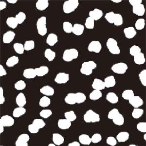 Leggings de Cintura Alta para Mujer, Fabricante OEM Personalizado, Malla Elástica, Control de Abdomen, Pantalones de Yoga para Ejercicio y Running - Product Image 6