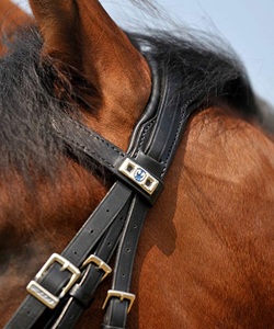 Snaffle Bridle le ofrece a usted y a su caballo opciones elegantes, cómodas y elegantes para la equitación y la competición diarias - Product Image 1