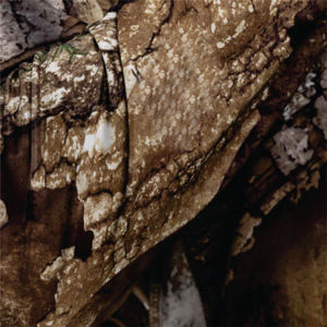 Chaqueta Realtree Quarter Zip para Mujer | APX Camo-Ligero, elástico, transpirable y de secado rápido para exteriores cómodos - Product Image 6