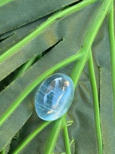 Piedra preciosa de diamante de cabujón ovalado de Color superior de Aguamarina Natural increíble de 12,59 quilates con buen brillo para la fabricación de joyas - Product Image 4