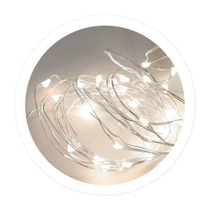 Luci a stringa a LED da esterno da 2 m, alimentate a batteria (GSC 204805016) - Product Image 1