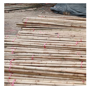 Poteau de bambou naturel 100%, personnaliser la longueur des cannes de prix usine de jardin de soutien de plante écologique - Product Image 3