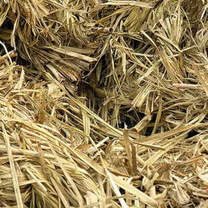 BAGASSE CANNE À SUCRE PRIX BON MARCHÉ-BAGASSE CANNE À SUCRE EN VRAC - Product Image 5