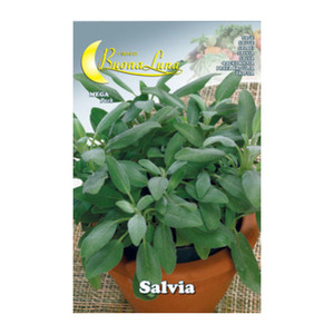 Semi Orto Salvia - Product Image 1