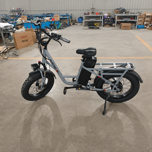 Bicicleta Eléctrica Plegable de 20 Pulgadas, 48V 1000W, Neumáticos Anchos, Motor en la Rueda Trasera, Cuadro de Aleación de Aluminio, para Desplazamientos Diarios - Product Image 1