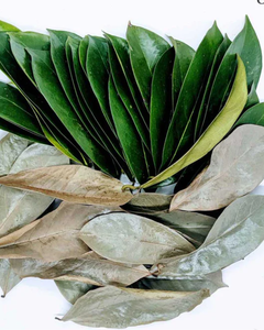 Feuilles de corossol séchées entières pour la transformation en tisane - Product Image 1