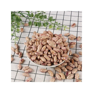 Suministro Confiable de Frijoles Frescos (Frijoles de Hueso) con Empaque Personalizado y Servicio OEM/ODM para Fabricantes de Alimentos y Revendedores - Product Image 5