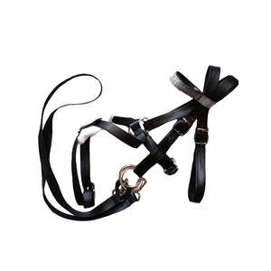 Cabestros ajustables de 3m Horse 2024, equipo de equitación, brida de caballo Halter con broca y cinturón de brida fija, gran oferta - Product Image 6