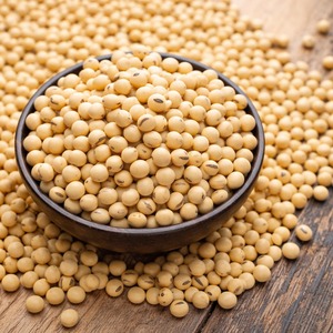 Buy Organic Dried <b>Soybeans</b> Seeds Bulk Pack Good Quality for Sale - Product Image 1