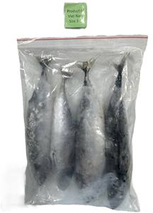 แพ็คสุญญากาศแช่แข็ง Iqf พรีเมี่ยมทรงกระสุนปืนปลาทูน่า100-300กรัมส่งออก - Product Image 5