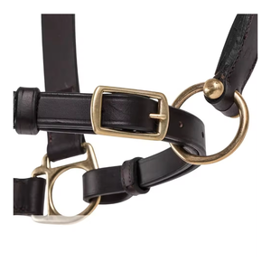 Cabestro de caballo de cuero de Carreras de Caballos inglés Premium con herrajes de latón Proveedor de sillín de caballo de cuero negro de estilo occidental - Product Image 1