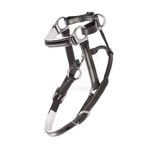 La meilleure qualité confortable nouveau style cuir cheval licous confortable doux réglable fabriqué au Pakistan - Product Image 3