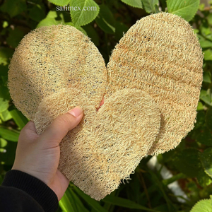 High Quality Natural Loofah <b>Scrubber</b> Single Soft Layer Pad Customizable Size Vietnam Farm Grown OEM Packaging Wholesale Export - Product Image 1