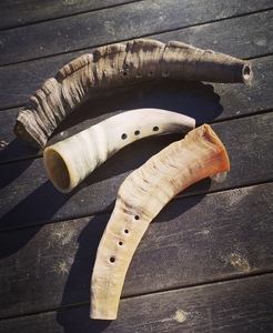 Bukkehorn un instrument de musique ethnique Note B4 Original fait main - Product Image 1