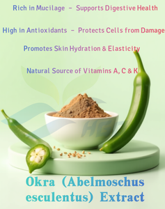 Suministro directo de fábrica HGO de extracto puro de okra natural (Abelmoschus esculentus) (grado alimenticio) Especificación 10:1 (extracto de proporción) - Product Image 5