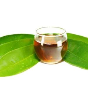 Hojas de guanábana secas (100% puras) que añaden un aroma natural para el cuidado de la salud - Product Image 5