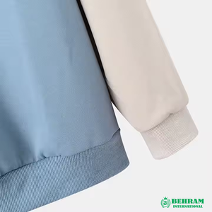 Sweat-shirts à capuche unisexes en molleton Sherpa et French Terry, grandes tailles, séchage rapide, respirants, streetwear d'hiver, coupe classique, 100% coton - Product Image 4