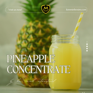Kim Minh น้ำผักผลไม้ปั่นปราศจากน้ำตาลเข้มข้นสับปะรดรสมะม่วงจากเวียดนาม - Product Image 2
